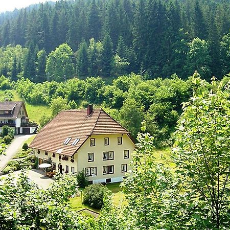 Апартаменти Country Style Flat With Garden Triberg im Schwarzwald Екстер'єр фото